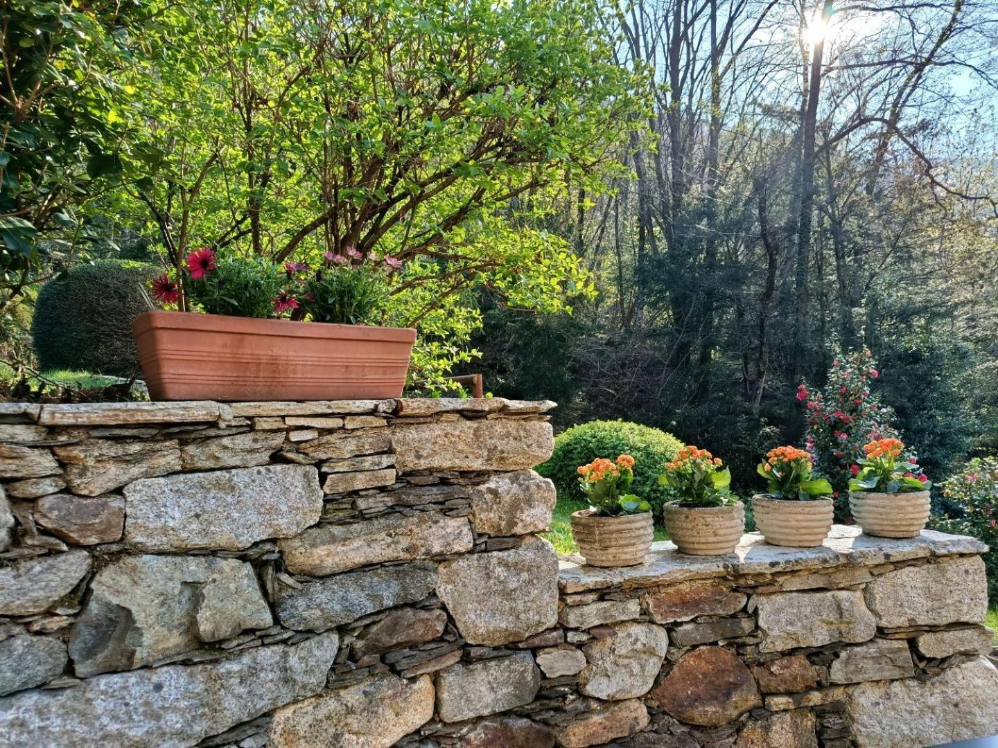 Cascina Nel Bosco Hotel Cannobio Buitenkant foto